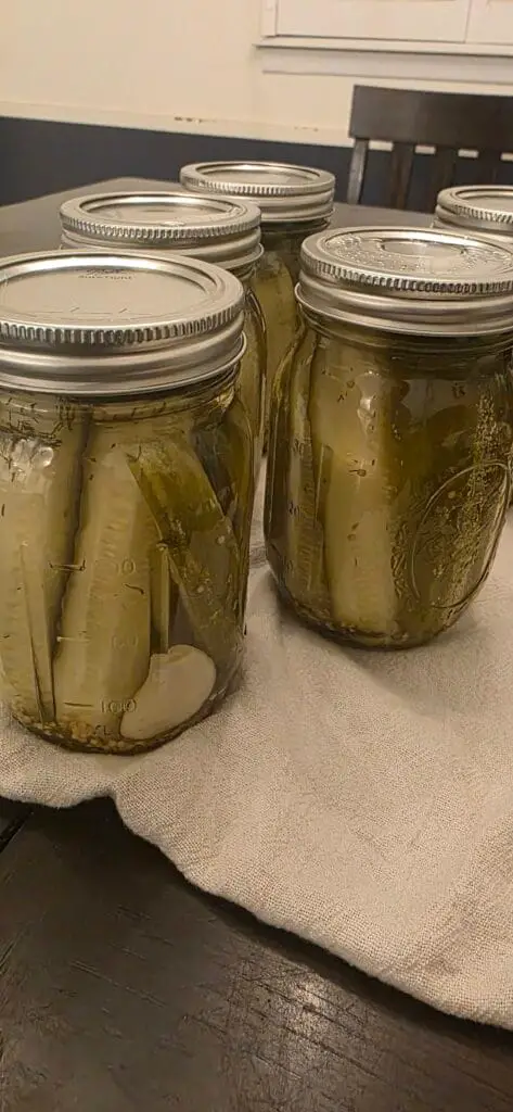 Quick Pickled Cucumbers Recipe (2-Ingredient Snack You’ll Love!) 2 storage of Pickled Cucumbers